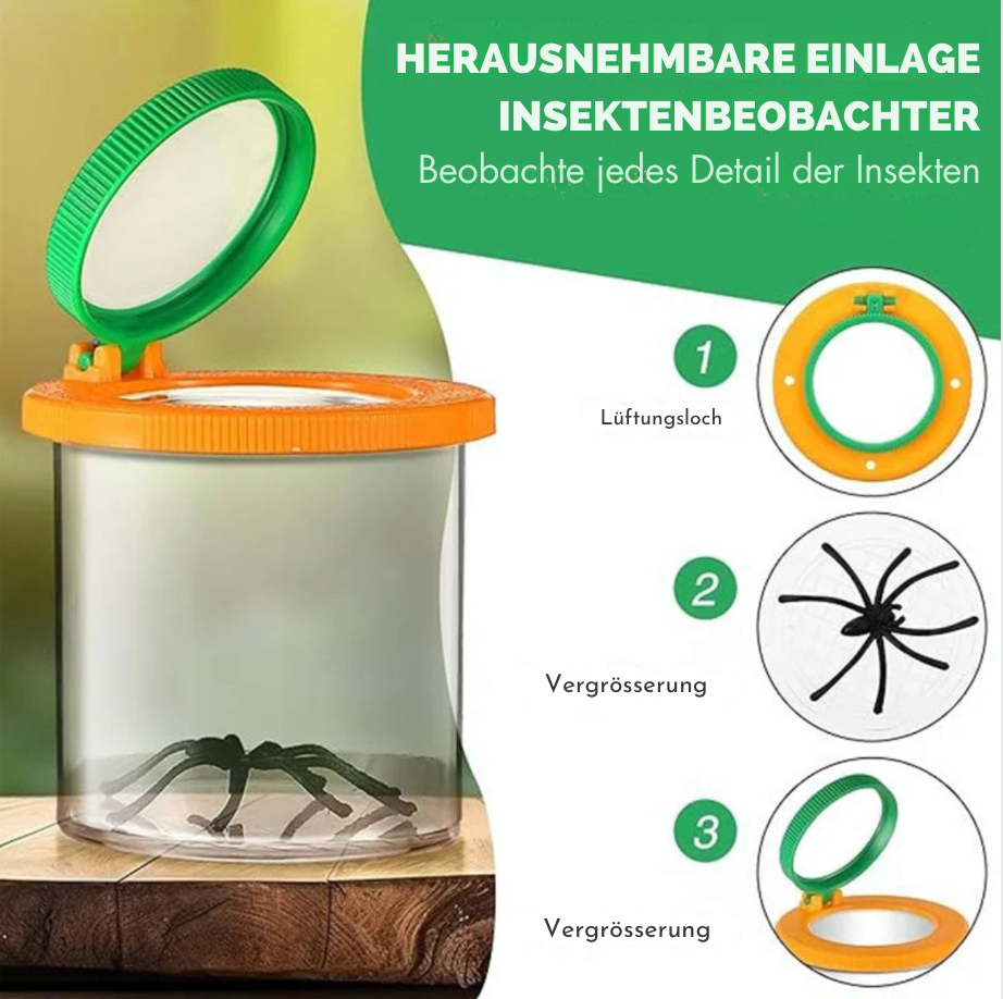 Insekten entdecken