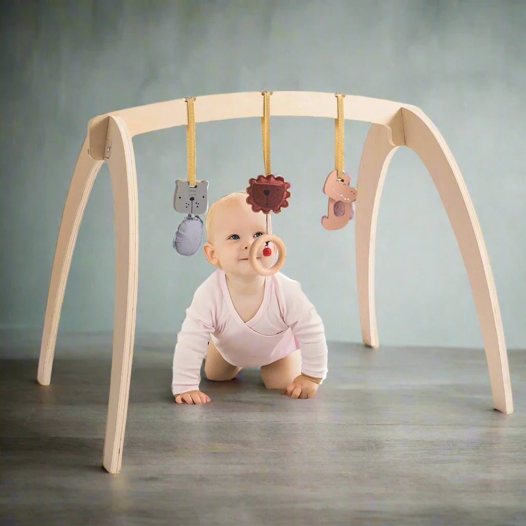 Baby Spielbogen